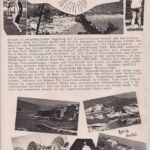 Habe beim "Entsorgen meiner Vergangenheit" etwas aus meiner Zeit als Reiseveranstalter in Montenegro gefunden: Eine Seite meines "Prospektes" für Urlaub in Radovici an der Kotorbucht. Das muß so Mitte der 80er gewesen sein. Die Urlauber habe ich damals mit der JAT (airways) einfliegen lassen. Da die Ferienhausbesitzer ihre Steuern nicht bezahlt haben, wurde mein Auto mit allen Akten beschlagnahmt, um Steuersündern auf die Spur zu kommen. Solange durfte ich das damalige Jugoslawien nicht verlassen. Das war eine verrückte Zeit. Als der Bürgerkrieg anfing, war es Schluß mit dem Projekt.
